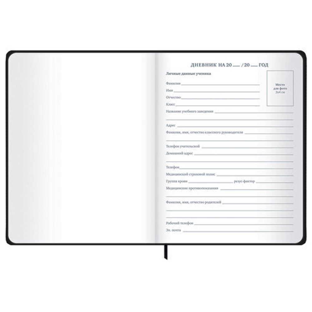 Дневник 1-11 класс 48 л., твердый, BRAUBERG, матовая ламинация, резинка, закладка-ляссе, с подсказом, "Дракон", 107240