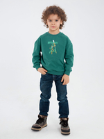Свитшот для мальчика CROOT