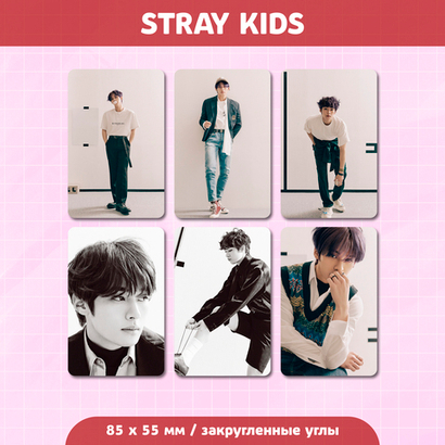 Сет карточек / STRAY KIDS #230 Lee Know