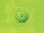 C-43 wasabi