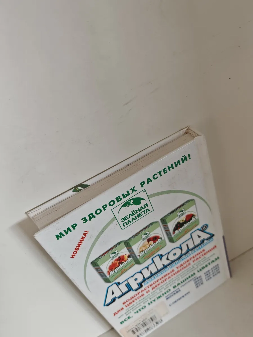 300 советов по уходу за комнатными растениями