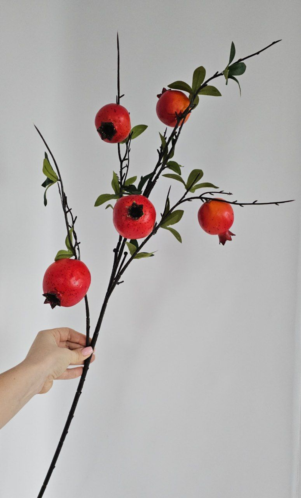 Гранат на ветке / Арт 7026