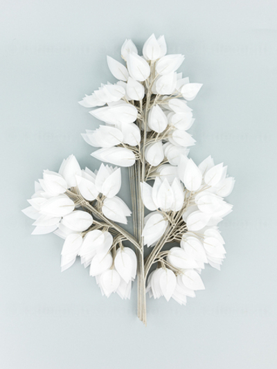 Ветка дерева Фикус белая (связка 12 веток)