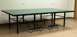 Теннисный стол складной для помещений "Player Indoor" (274 х 152,5 х 76 см)