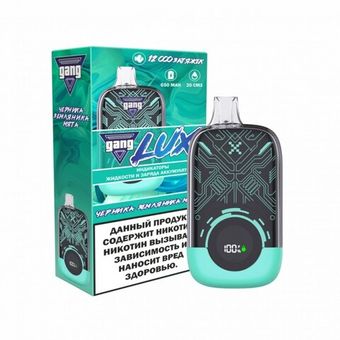 GANG LUX 12000 Черника Земляника Мята - Blueberries Strawberries Mint