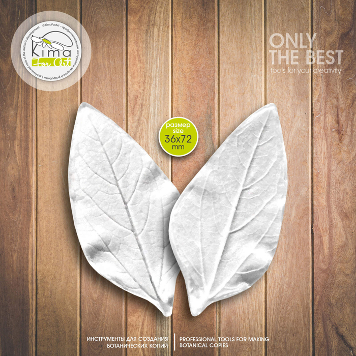 Подсолнух лист маленький