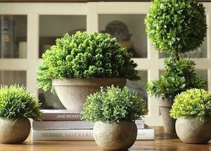 Искусственные и декоративные растения