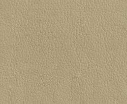 Искусственная кожа Oregon (Орегон) 02