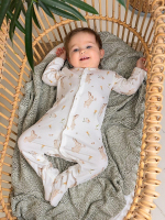 Комбинезон на кнопках "Зайки с птичками"