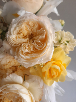 Композиция «Поцелуй солнца»