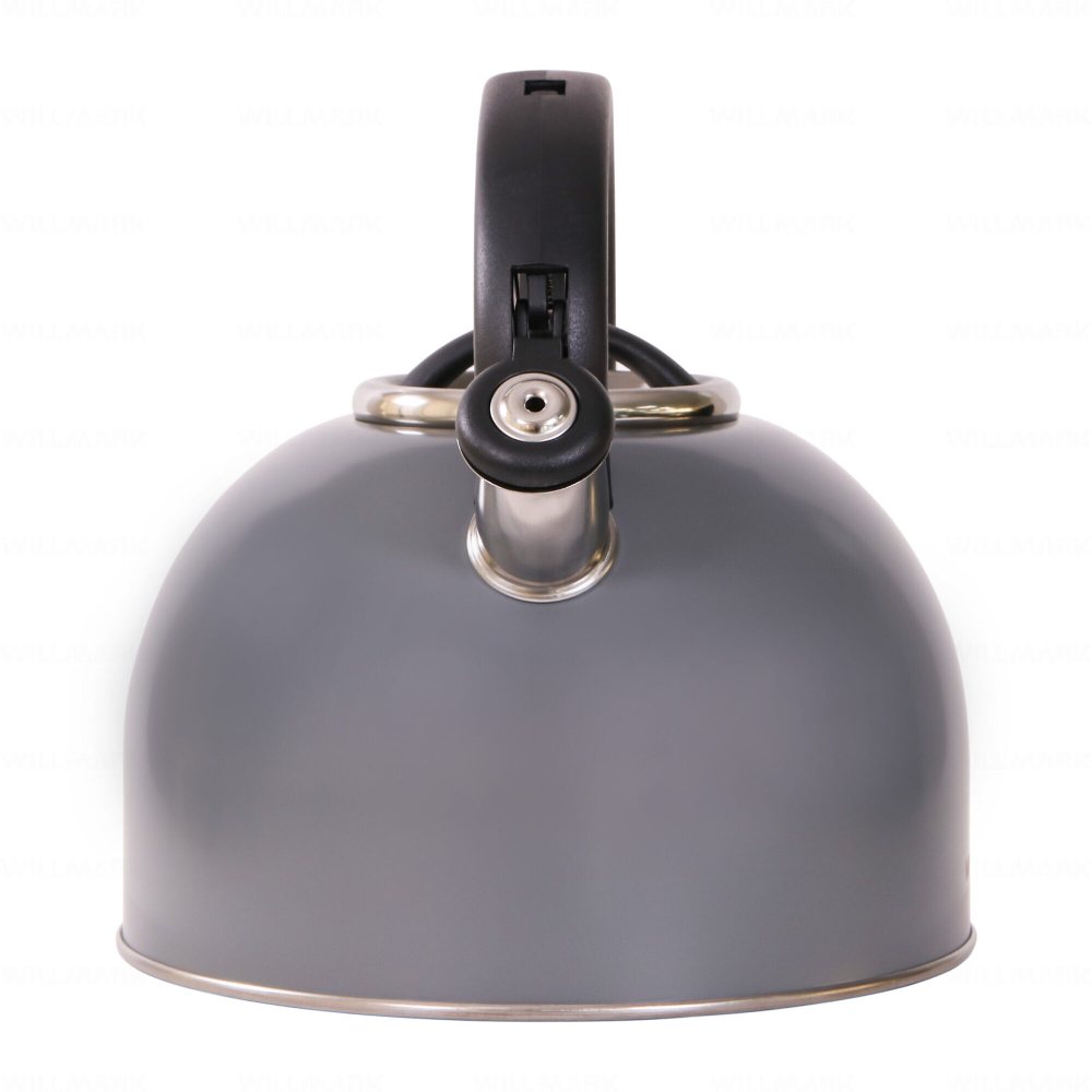 Чайник со свистком Willmark WTK-4810SS (4.0л)