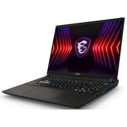 Ноутбук MSI Vector 16 HX A14VGG-283RU