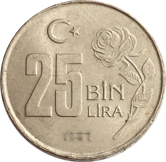 25 000 лир 1995-2000 Турция (25 Bin Lira)