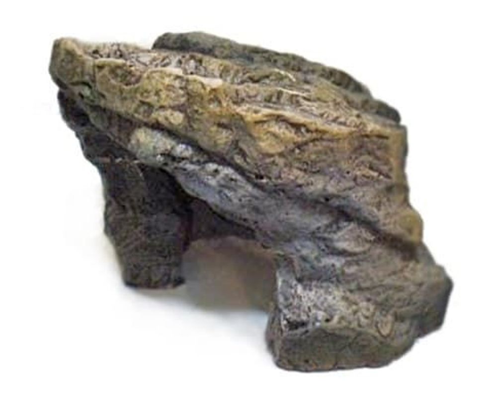 СКАЛА С13