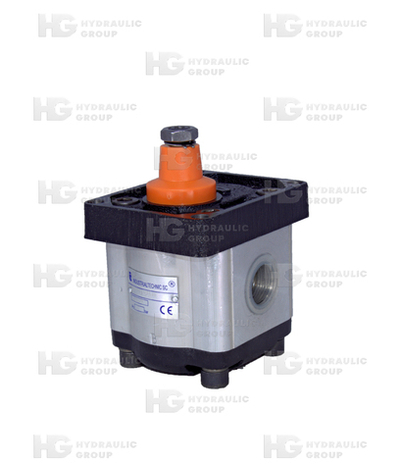 Насос шестеренный 2 GR C11X2T1-B 250 bar