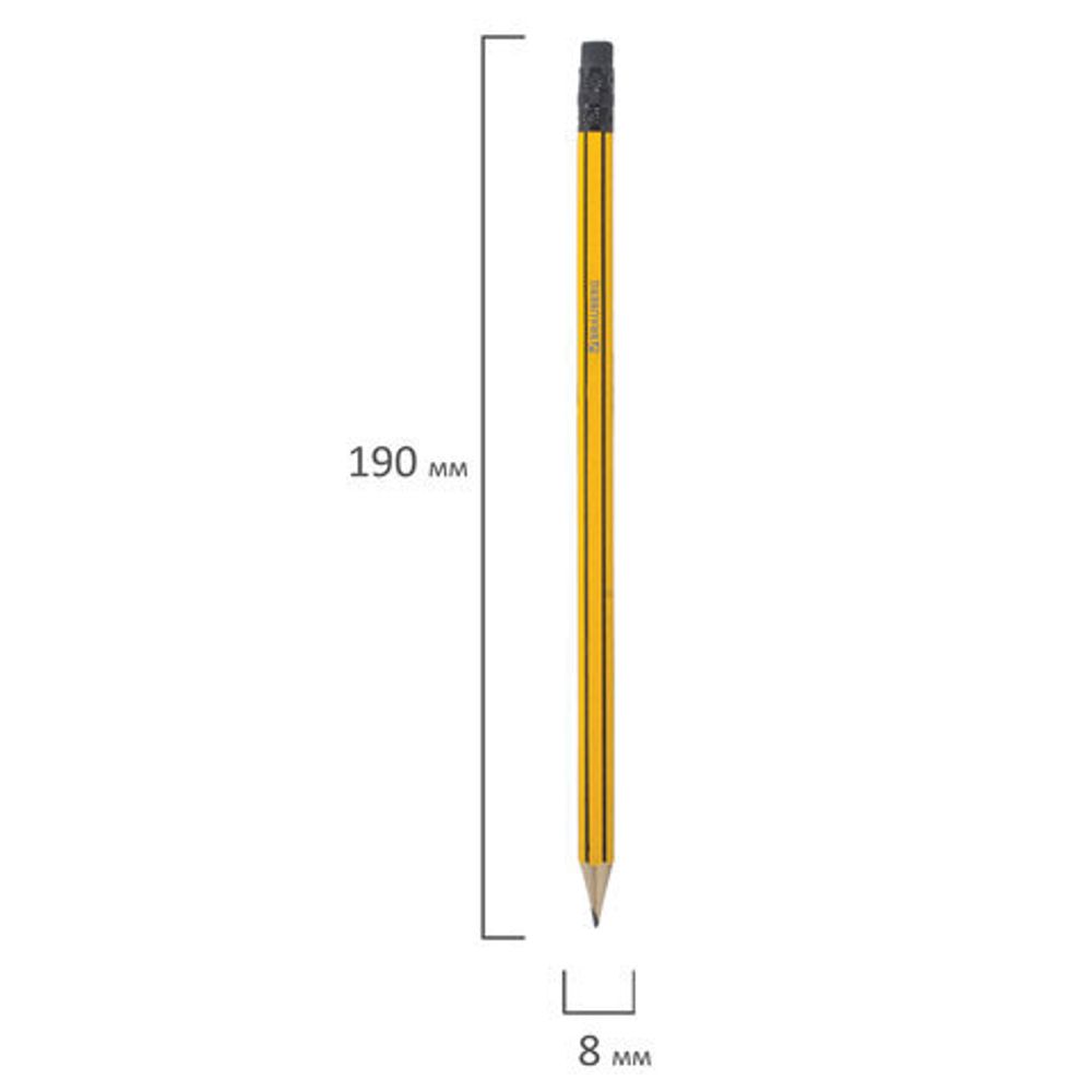 Карандаш чернографитный BRAUBERG, 1 шт., НВ, с резинкой, корпус желтый с черными полосами, заточенный, 180614