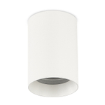 Сменный корпус для светильника ALPHA размер D55xL80 мм, белый цвет