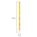 Карандаш чернографитный BRAUBERG "FRESH ZONE", 1 шт., HB, корпус ассорти, 181759