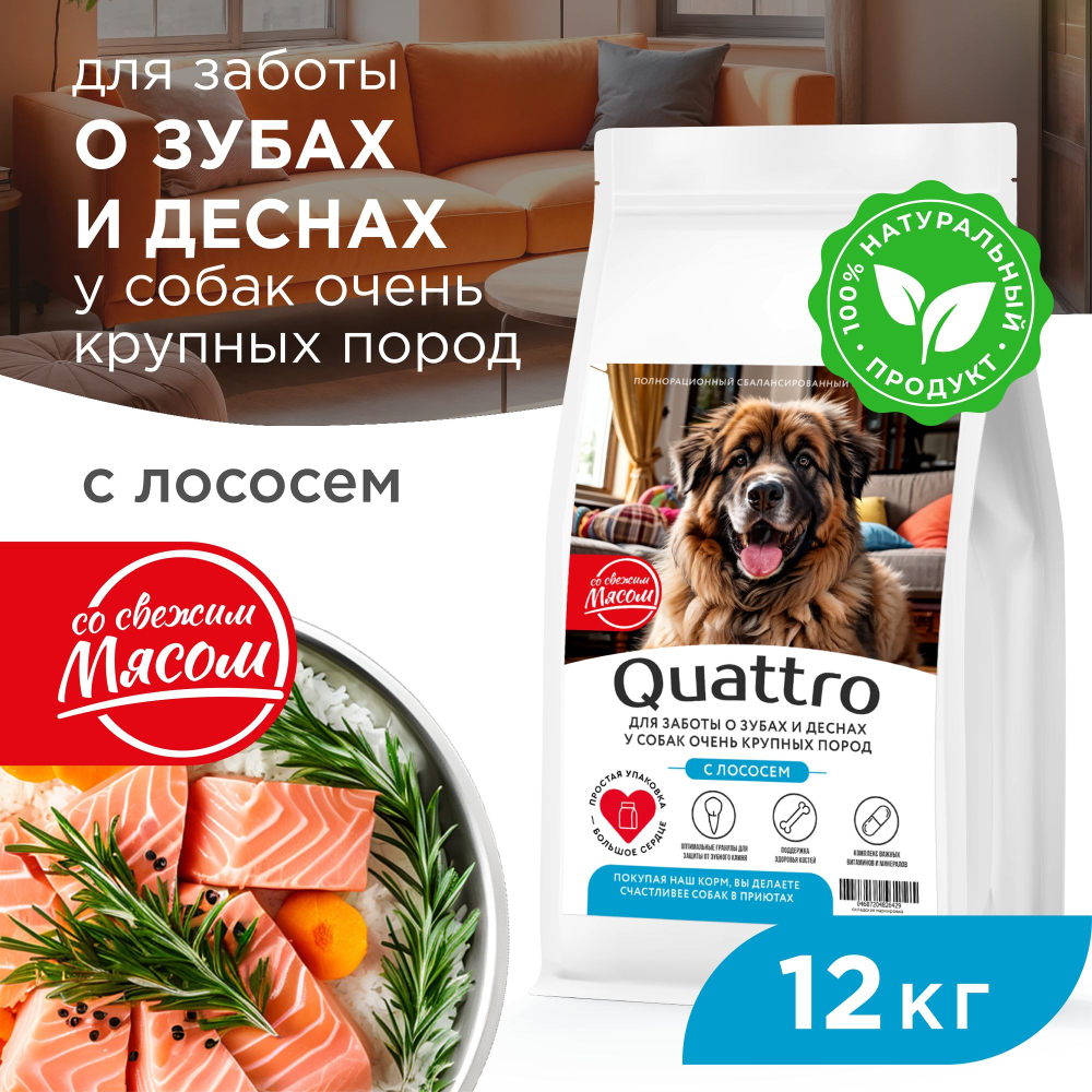 Корм сухой для взрослых собак очень крупных пород, премиум полнорационный комплекс, для заботы зубов и десен, с лососем, 12 кг, QUATTRO