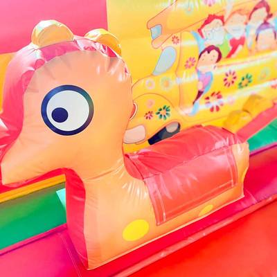 Коммерческий батут «Сафари-экскурсия-2 без горки» 6*5*2,5 м