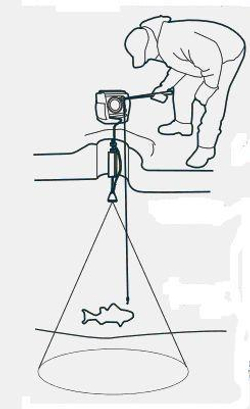 Зимний датчик XI 9 20 (двухлучевой)