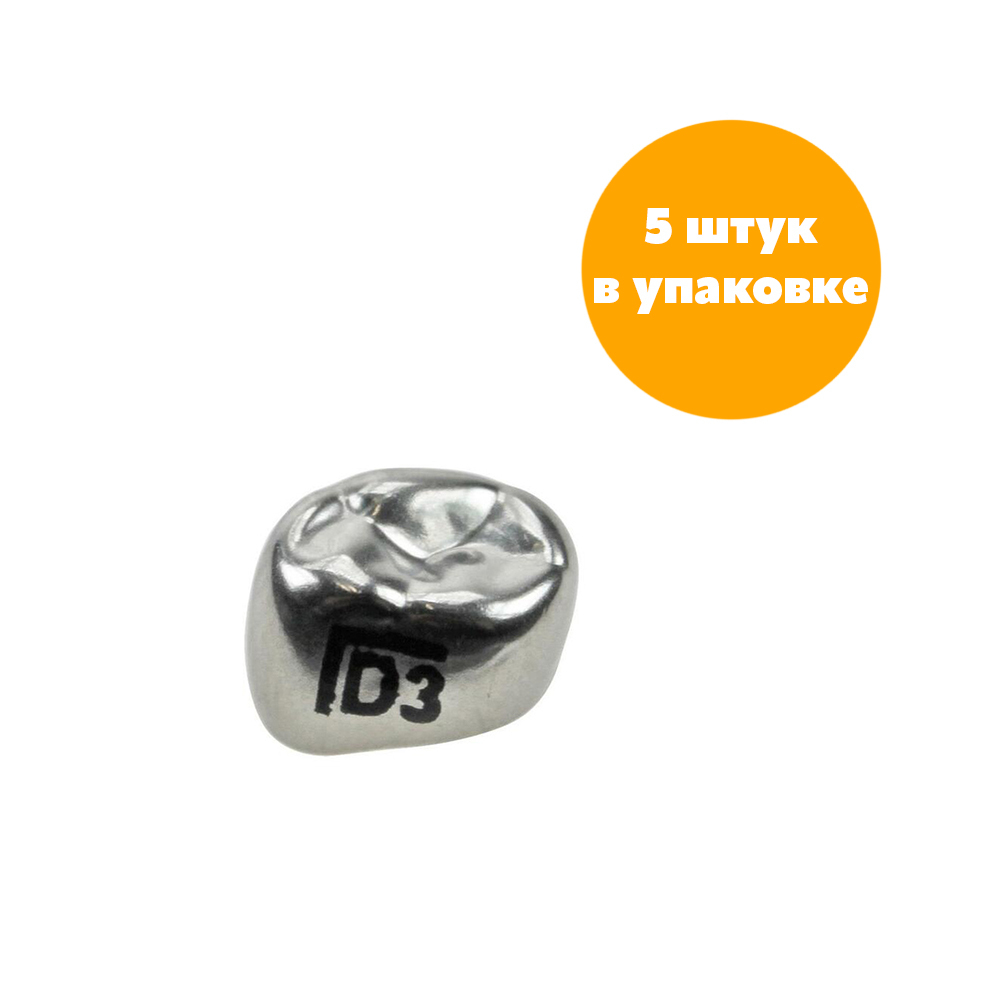 Первый нижний левый моляр, размер 3 (D-LL-3)