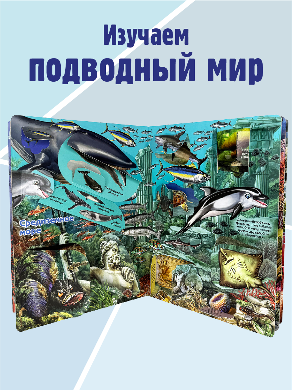 Энциклопедия с окошками (ЦК) ЧТО ТАМ, ПОД ВОДОЙ?