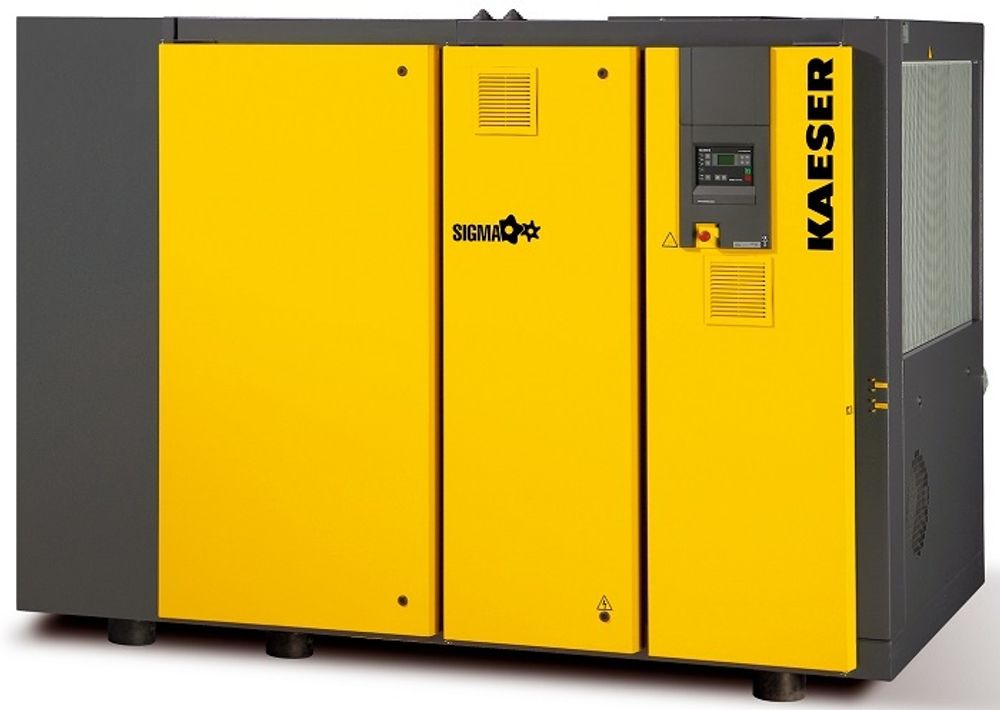 Винтовой компрессор Kaeser DSD 205 13 T
