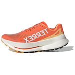 Кроссовки Adidas Terrex Agravic Lightstrike Pro