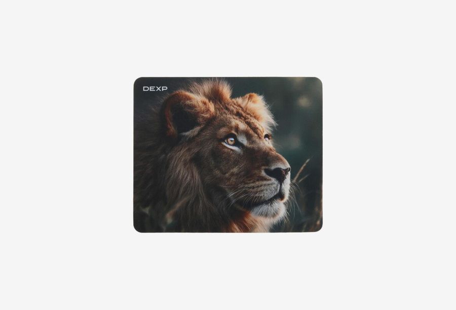 DEXP Lion OM-XS_0126709110121