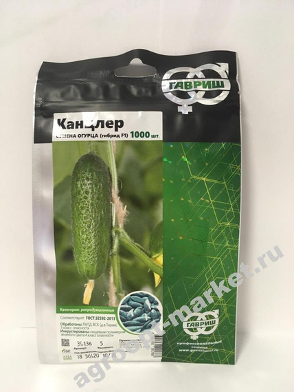 Канцлер F1 семена огурца партенокарпического (Гавриш) – фото 3