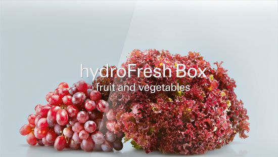 Холодильник Siemens KF91NPJ20R