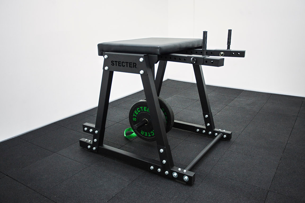 Обратная экстензия (Reverse Hyper)