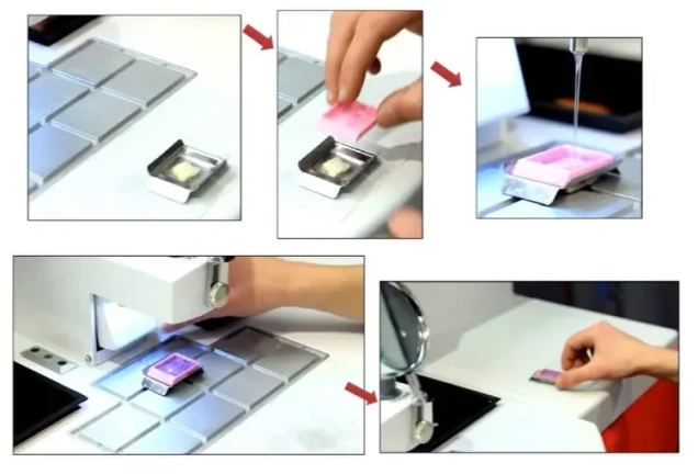 Искусство блочного строительства: почему многоразовая форма — секретное оружие гистолога