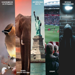 Монокуляр Praktica Pioneer 8x25 WP