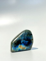 Срез Лабрадора S