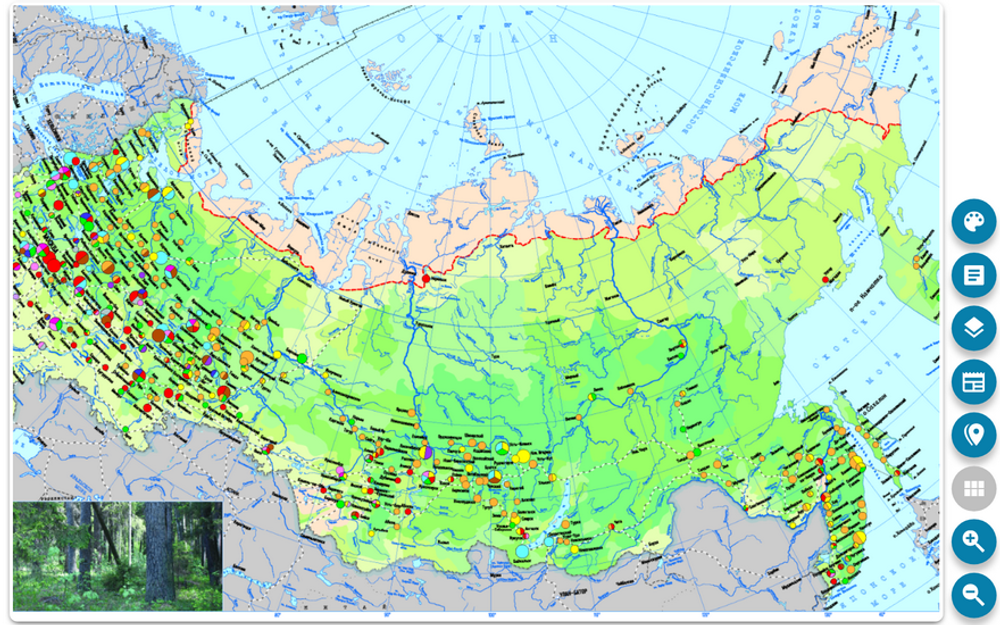 Интерактивные карты. География России. 9 класс. Хозяйство России