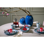 Набор обеденных тарелок blueberry, D26 см, синие, 2 шт.