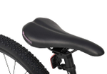 Maxiscoo 3BIKE 24'' L (2025)