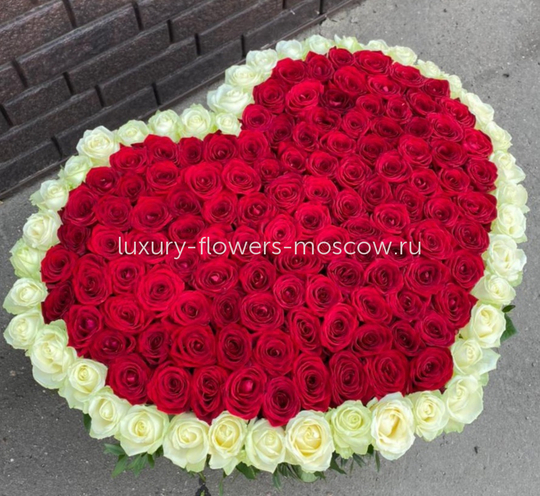 225 роз сердце с белым контуром