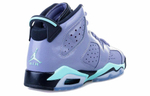Кроссовки Jordan Air Jordan 6 Retro Iron Purple (Женская размерная сетка)