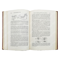 Romer A.S. The vertebrate body / Ромер А.Ш. Тело позвоночных животных. 1960.