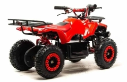 Электроквадроцикл Motoland ATV E009 1000W