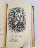 "Басни Крылова". 1905г. - антикварная книга
