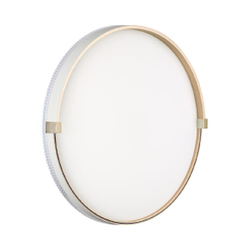 Настенно-потолочный светильник Sonex Olidi white 7646/DL