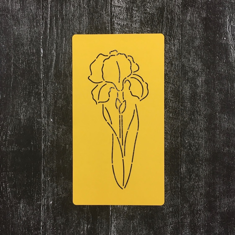 Цветок Ирис №4