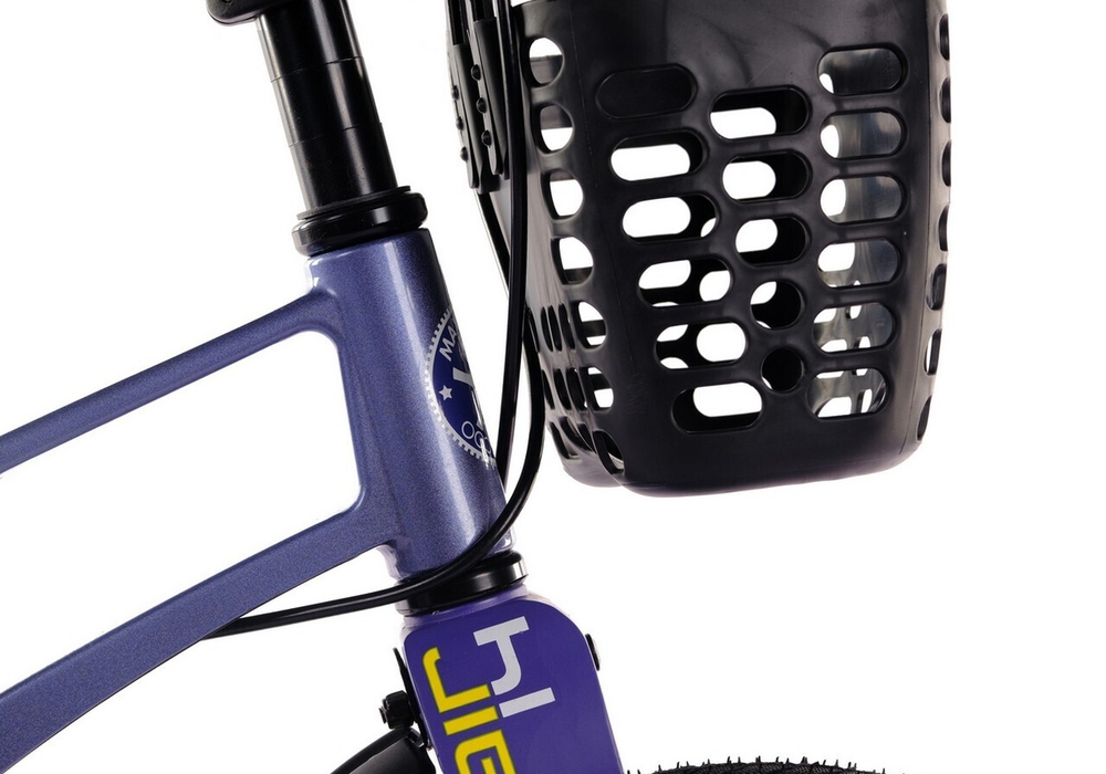 Maxiscoo AIR Pro 14'' (2024)