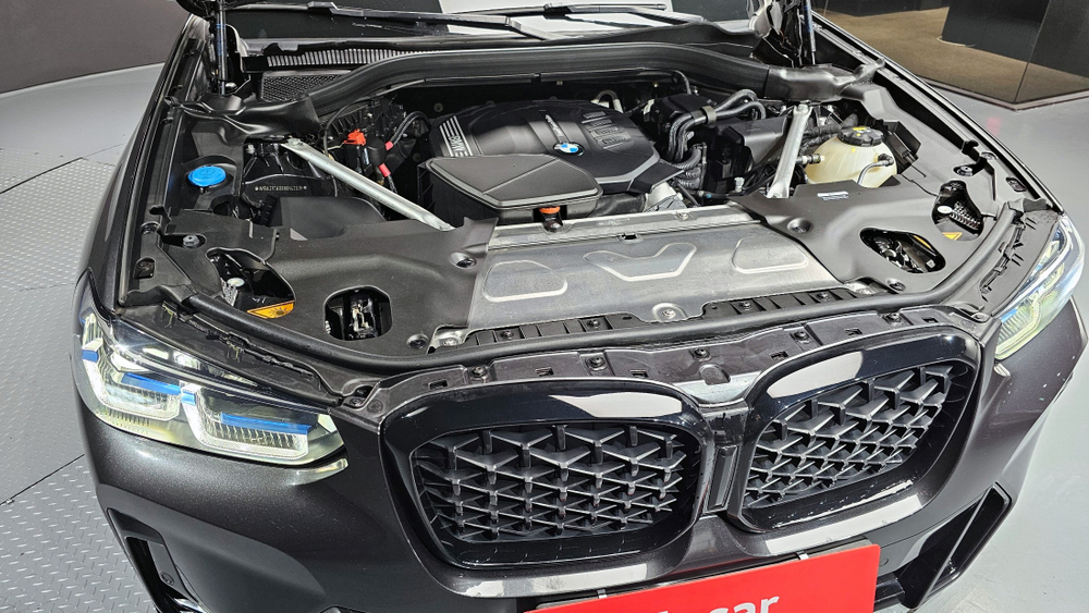 BMW X4 (G02) xDrive20i M Sport