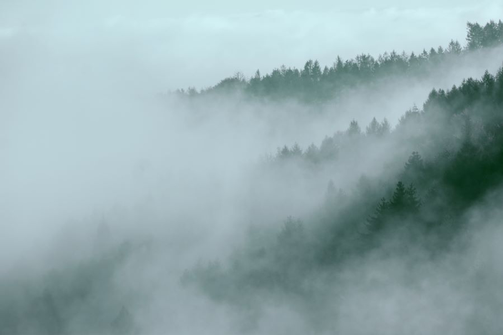 Фреска Applico, коллекция Natura