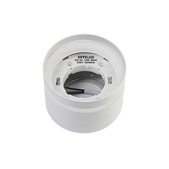 Потолочный светильник Citilux Hardy CL002C10